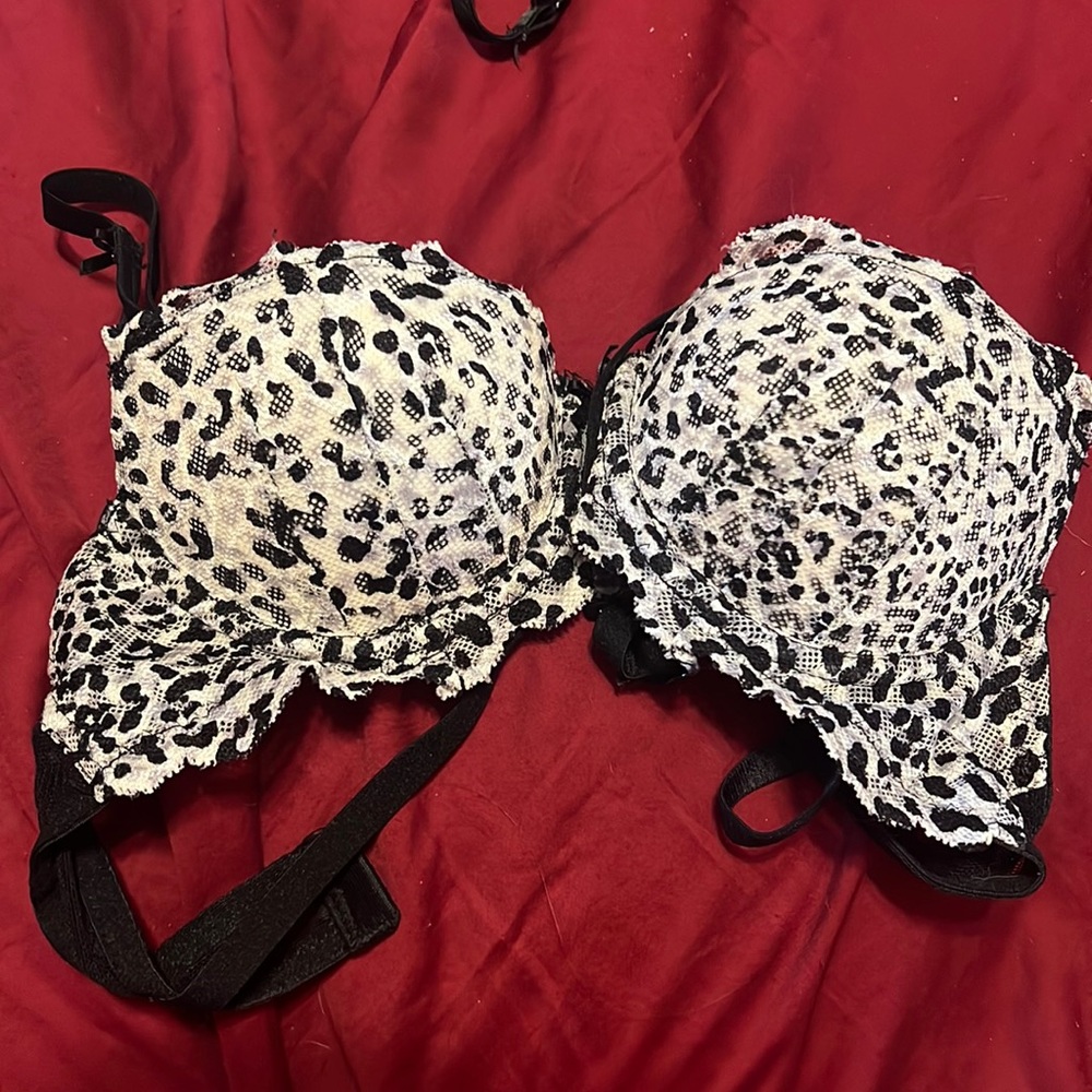 Sexy bra
